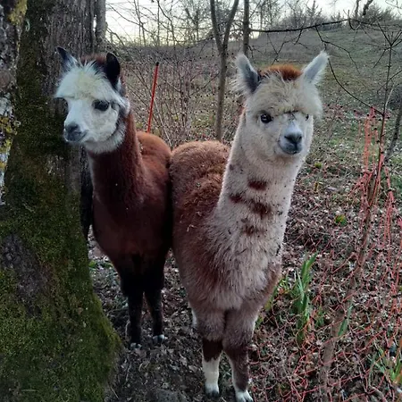 Alojamento de Acomodação e Pequeno-almoço Kanahau
