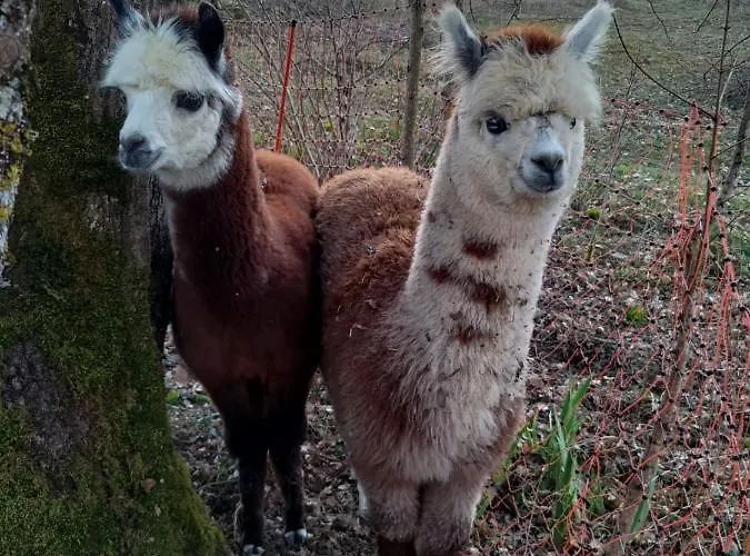 Nocleg ze śniadaniem Kanahau